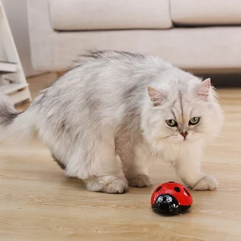 

Automatic Cat Teaser Toy Interactive Pet Cat Toy Powered By Battery Moveable Electric Insect Cat Toy Pet Supplies For Gatos/