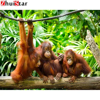 

5D DIY Diamond Painting Full Drill Square Three orangutans - tree Home Decoration Embroidery Handcraft Art WHH