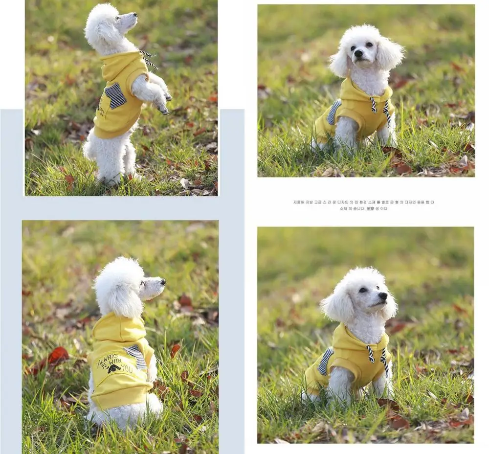 Petalk/различные стильные толстовки с капюшоном и надписями для собак кошек