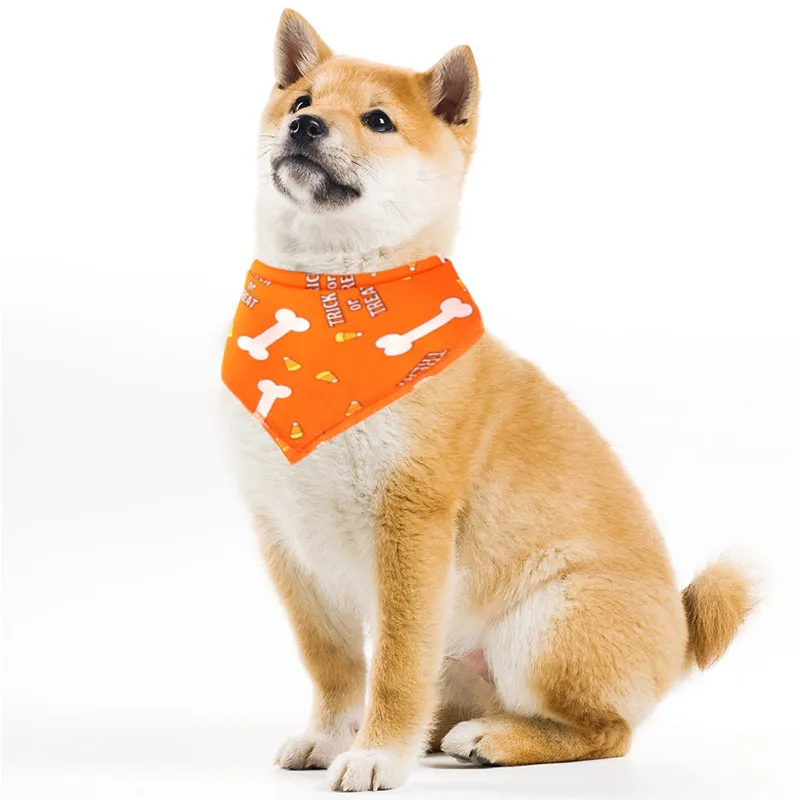 CJJ90916891OR_0948243552220973872