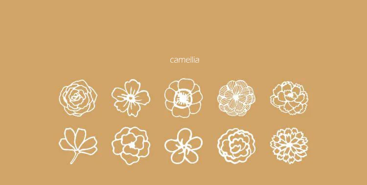 20191011_154131_022_01