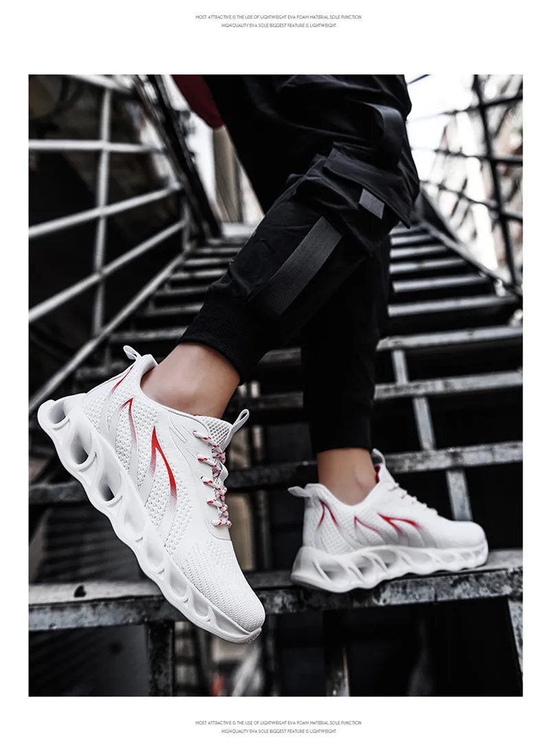 11386053599_72911893