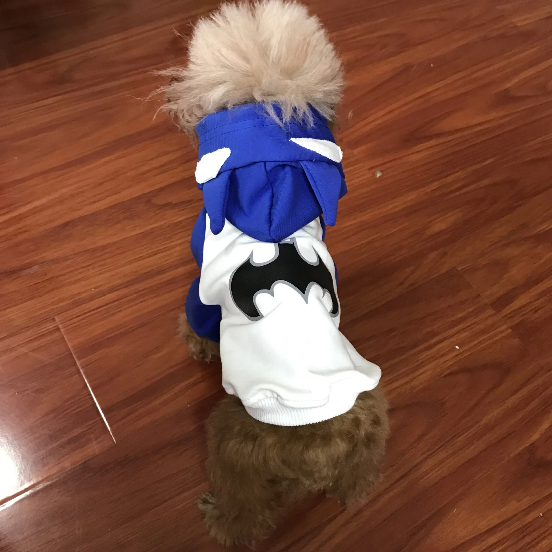 

Spring And Autumn New Style Hooded Cartoon Little Monster Pet Clothes Small Teddy Dog Cat Clothes Fashion