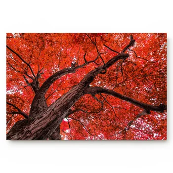 

Trees With Red Leaves Simple Door Mats Bedroom Kitchen Bathroom Door Non-slip Mats