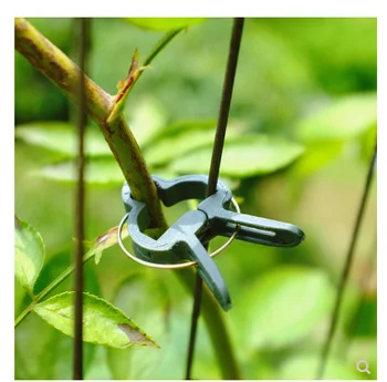 

Garden clips branches and branches plant fixing clip plastic garden graines a planter clip tool