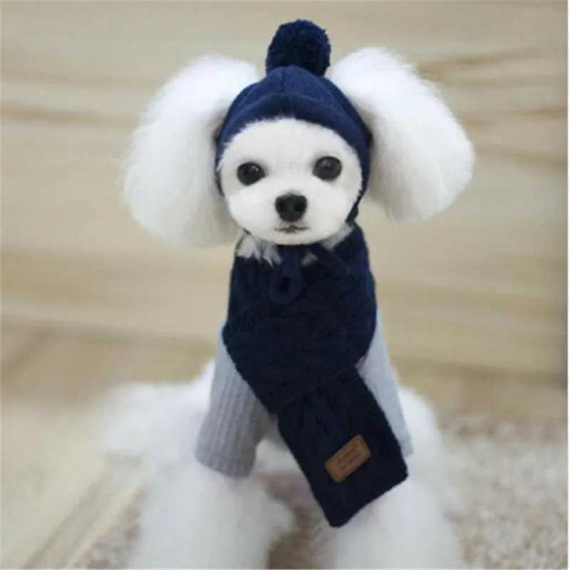 Blue Зимние аксессуары для кошки, собаки, модный вязаный шарф и шапка для маленьких собак, 3 цвета - Color: Blue