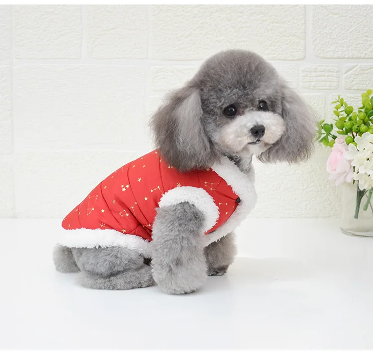 Новейшая хлопковая одежда для собак на осень и зиму, две ноги, Теплая стеганая одежда для домашних животных, удобная и толстая одежда для собак на зиму