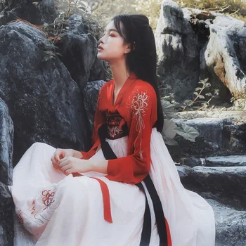 

New Hanfu Dress Chinese Traditional Women Elegant Tang Suit China Ancient Folk Dance Performance Costume Red Hanfu DQL1690