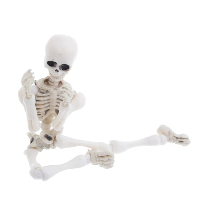Movable Mr. Bones Skeleton Human Model Skull Full Body Mini Figure Toy Halloween 54DA 5