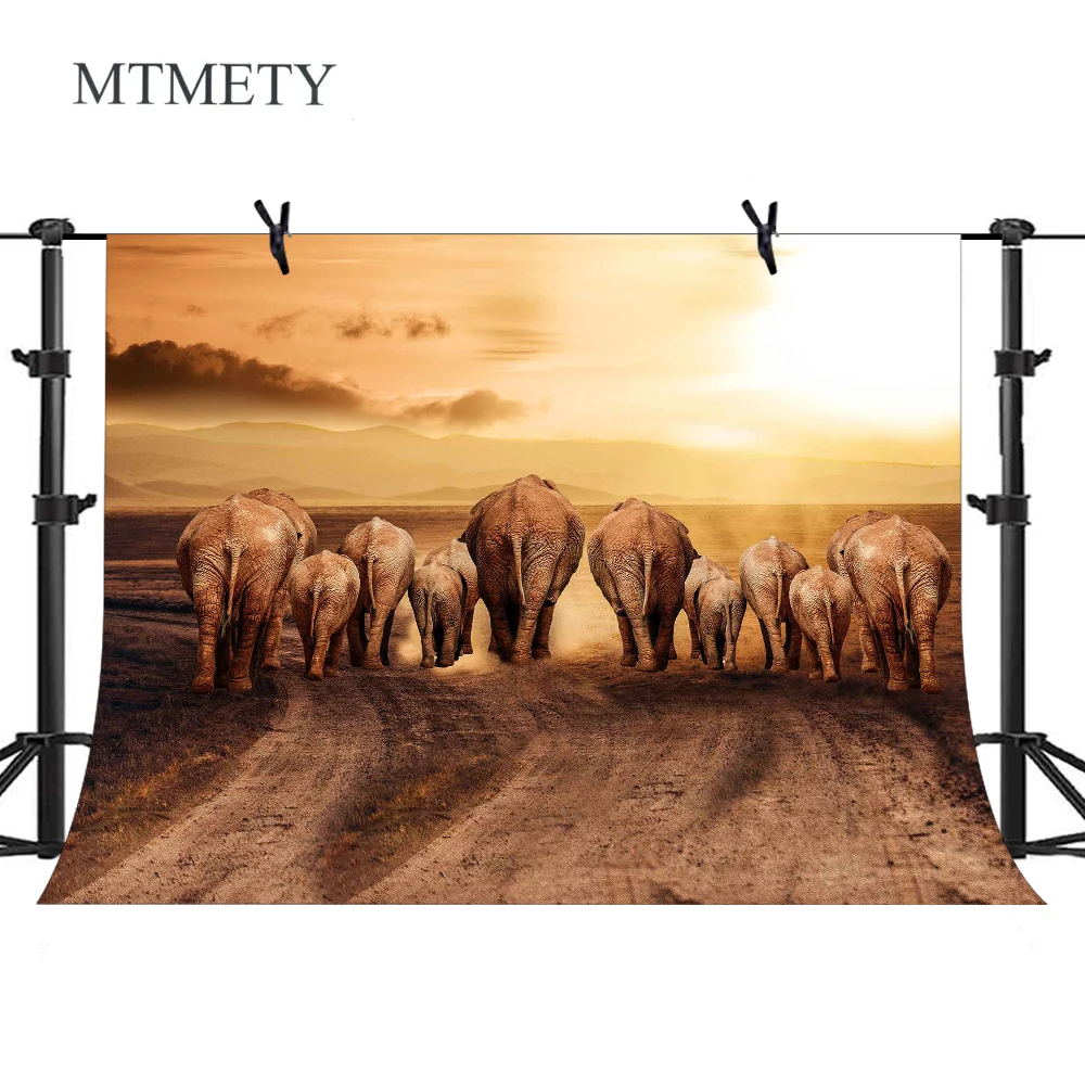 

MTMETY Animal Elephant Photography Backdrops Vinyl Custom Photo Props for Theme Party Studio Background