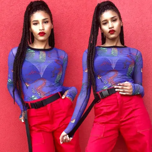 

New Fashion Women Sexy Dragon Print Sheer Mesh See-through Long Sleeve Top T Shirt Streetwear