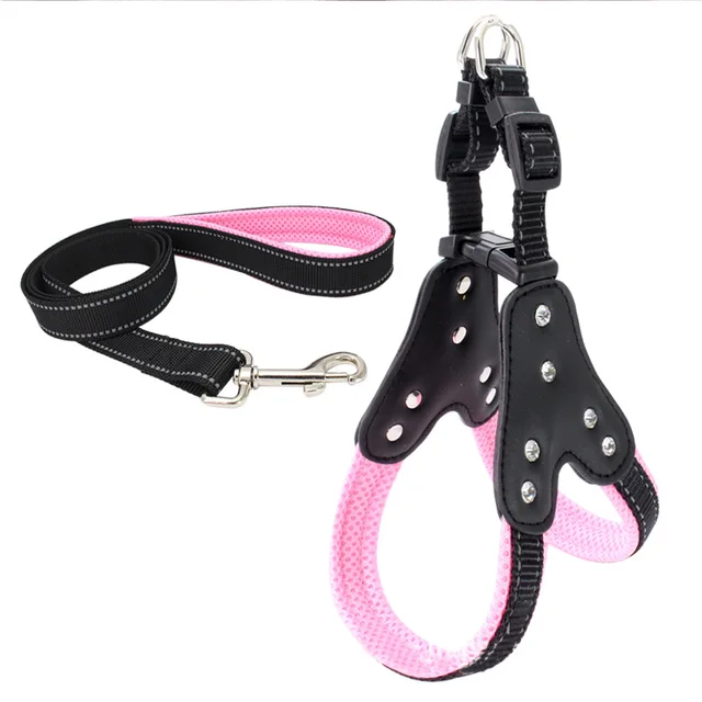 Comfortable Pet Leash & Harness For Large And Small Dogs 4