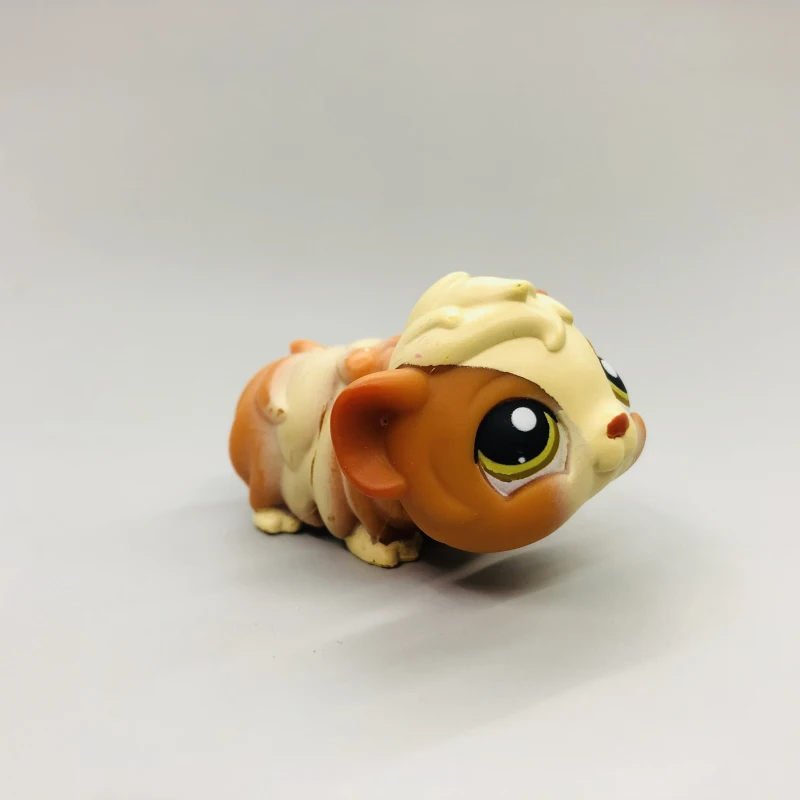 Оригинальные милые игрушки, прекрасный Petshop, животное, животное, очки, медведь, панда, енот, самая маленькая фигурка, кукла, маленький подарок, игрушка для девочки - Цвет: F