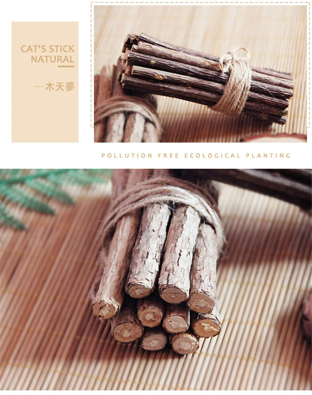 10732270203_1779544261