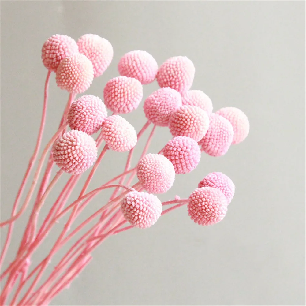 Pink 10pcs christmas decor yellow billy balls natural dried eternell craspedia bouquets forever gold orbs flower - Цвет: Pink