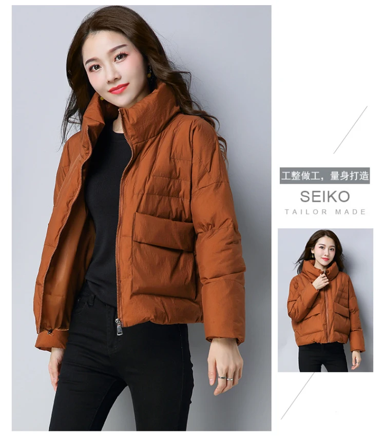Winter Zipper Stand Collar Cotton-padded Clothes/Cotton Coat Korean-style Versatile Fashion Casual Slim Fit Elegant