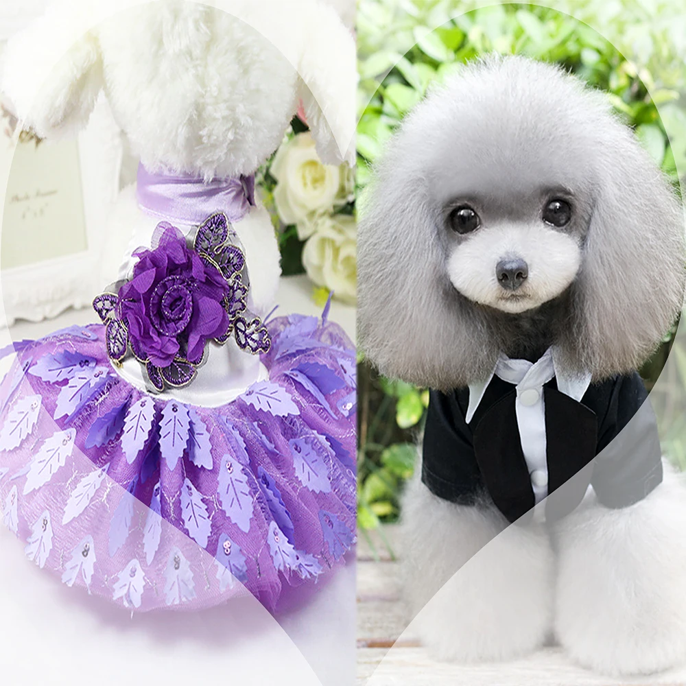 XL, White, Red, bow,flowers Shaggy Chic Pets /'Pet Dress Dog Tutu Dress Pet Clothes dog puppy Apparel
