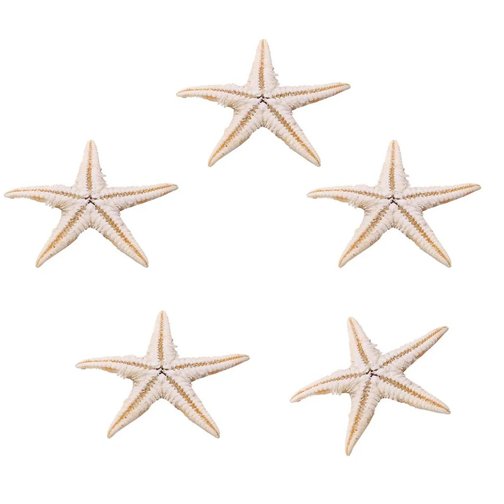 51zTyfJqlDL._SL1033_