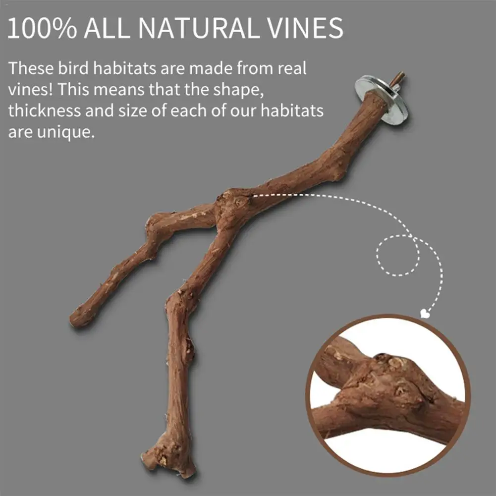 Pet Parrot Bird Standing Stick Wild Grape Wood Pole Bird Cockatiel Parakeet Perches Bite Claw Grinding Toy Bird Cage Accessories