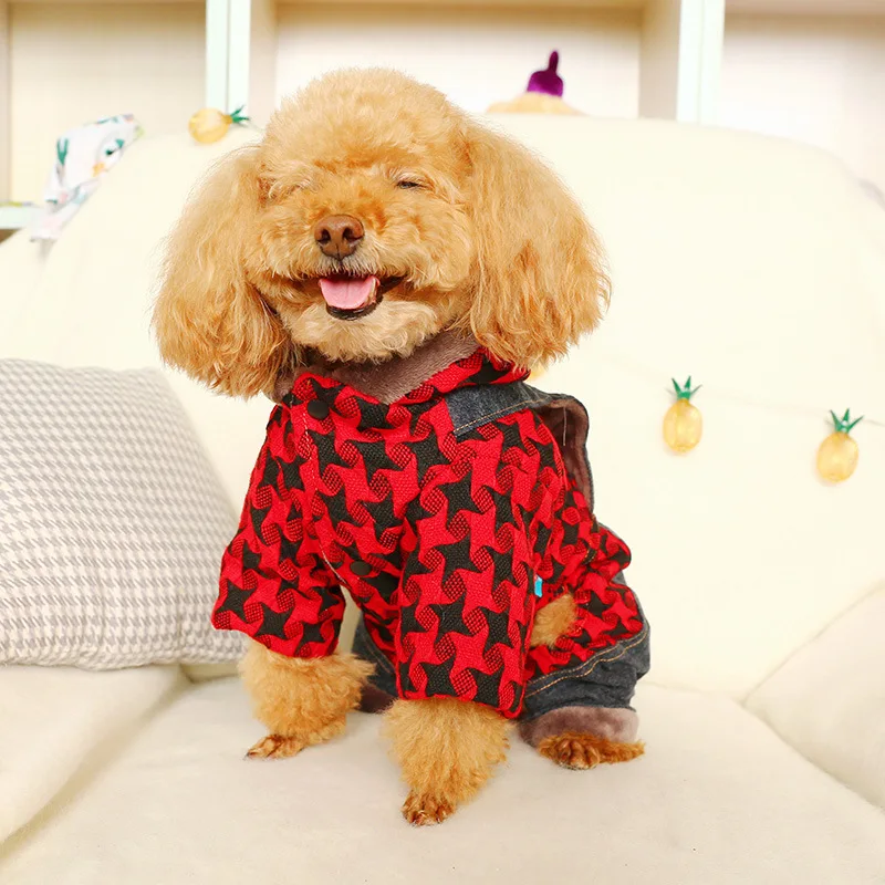 11597397212_1853267267