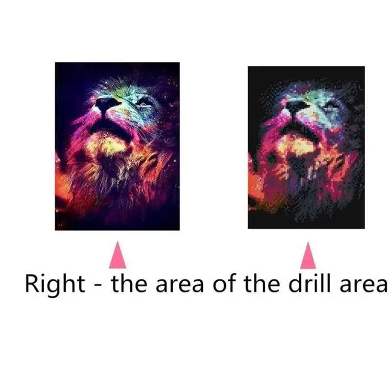 5D алмазная живопись полный комплект, с украшением в виде кристаллов Стразы наклеивать вышивка Фотографии Искусство ремесло для домашнего декора стен-красочные Лев 30x40