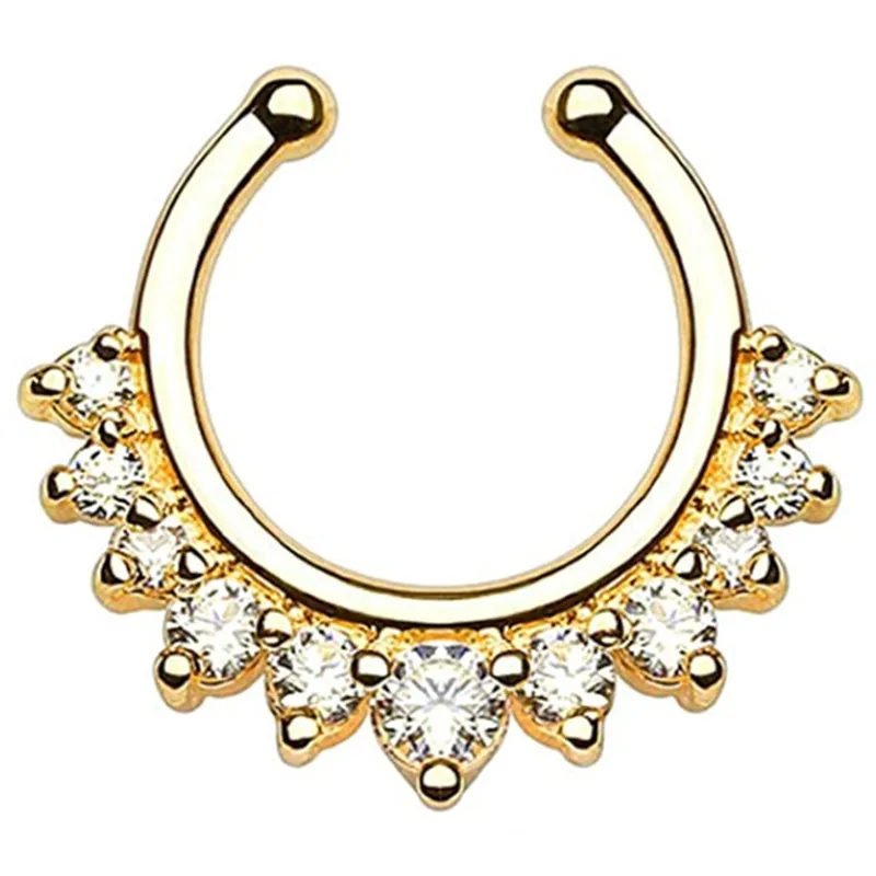 Faux Piercing Antarctique en Acier Inoxydable pour Femme, Bijoux Septum en Clip, Anneau de Septum, 1/2 Pièces