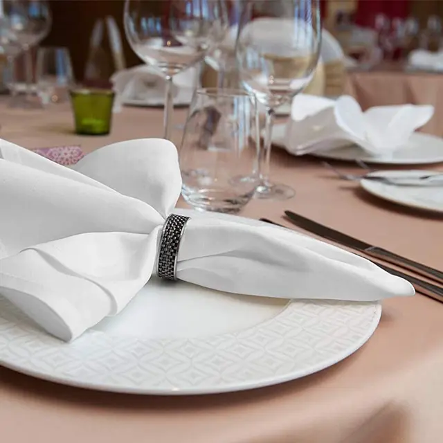 12PC 45x45cm RESTAURANT DINNER CLOTH LINEN WHITE 45x45cm PREMIUM HÔLE NOUVEAU NAPKINS 4
