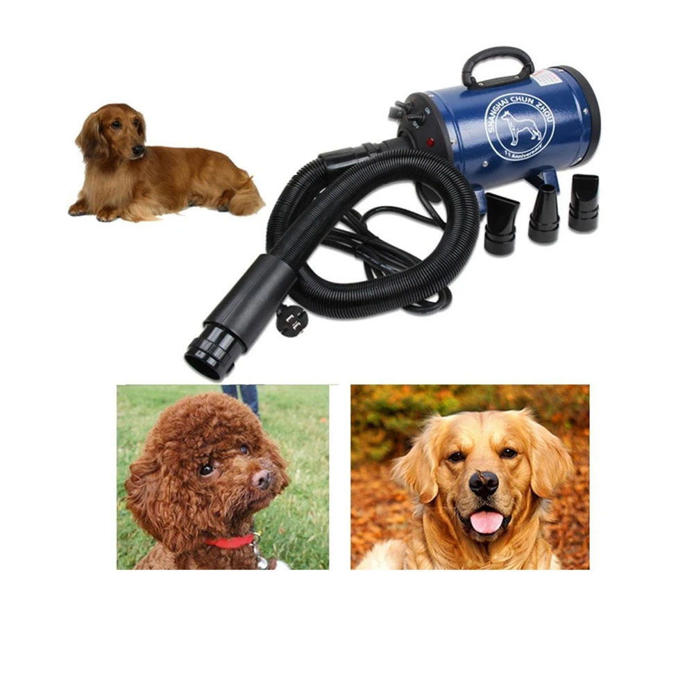 PROD 32891611951 BS2400 Grooming Dryer For Dogs Low Noice Dog Dryer
Strong Power Pet Dryer Stepless Speed For Drying Dogs Ship From Russia