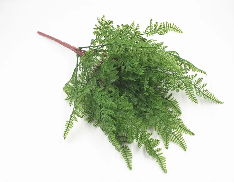 19叶软胶波斯叶