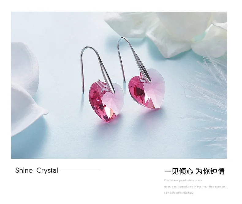 9544202472_1017793689