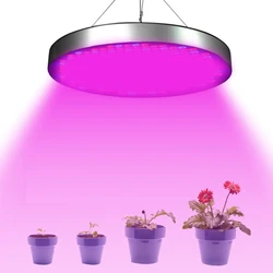 BORUIT – lampe horticole de croissance LED 250, 50W, AC85 265V, spectre complet, éclairage pour serre/chambre de culture intérieure, semis, fleurs 