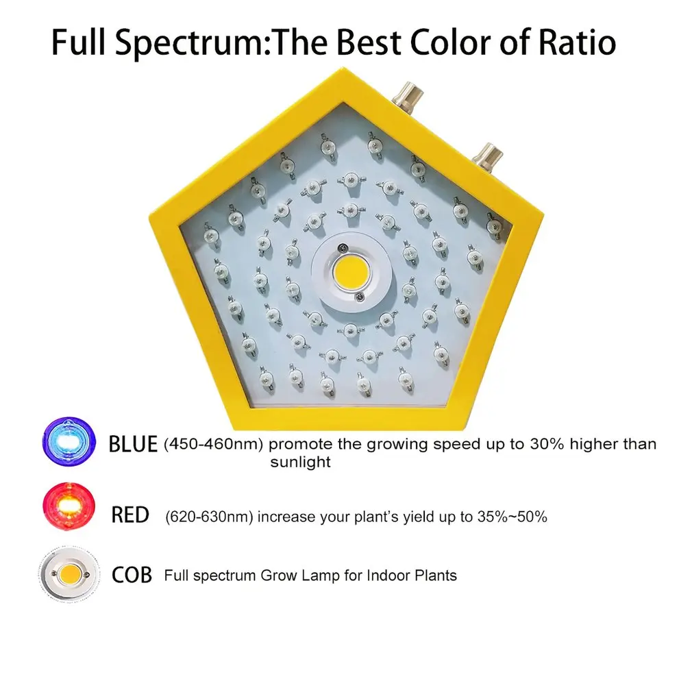 Plants LED Grow Light Full Spectrum 1000W Double Chip Red/Blue/UV/IR Pentagon Light For Indoor Plants VEG BLOOM