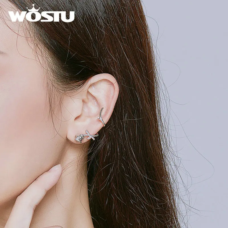 WOSTU S925 благородная роза серьги гвоздики Gennuie 925 пробы Серебро CZ Серьги Горячая Мода для женщин ювелирные изделия подарок BNE238