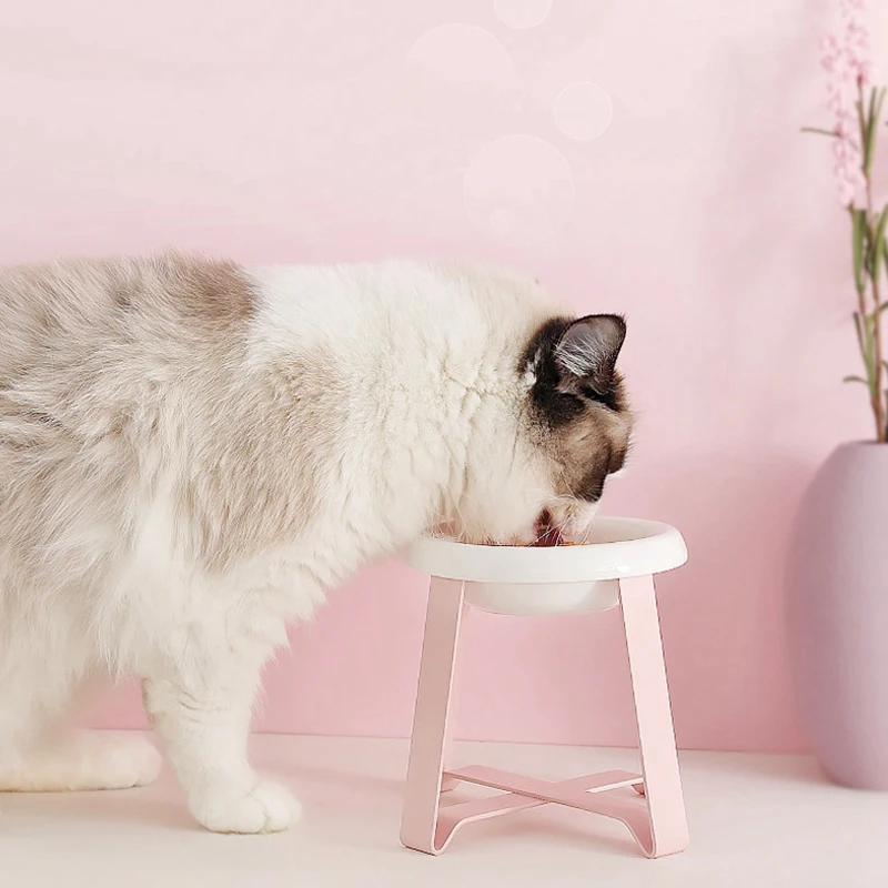 АБС-собака Кошачьи миски для домашних животных миска для кота, собаки Еда Фидер для кормления Еда и воды Bowl