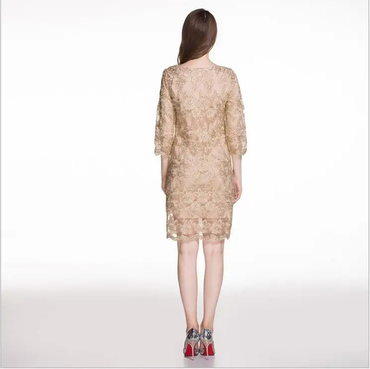 Plus Size autumn and winter Women's clothing O-neck sexy fashion OL Slim lace embroidery Package hips dresses 024