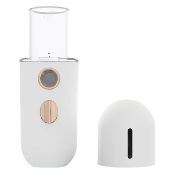 

1Pc Spray Cosmetic Instrument Tool Facial Hot Spray Nanometer Ion Spray Water Supply Instrument for Woman(White)