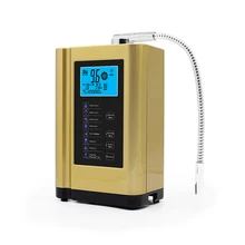 Electronic alkaline ionized water filter water maker system