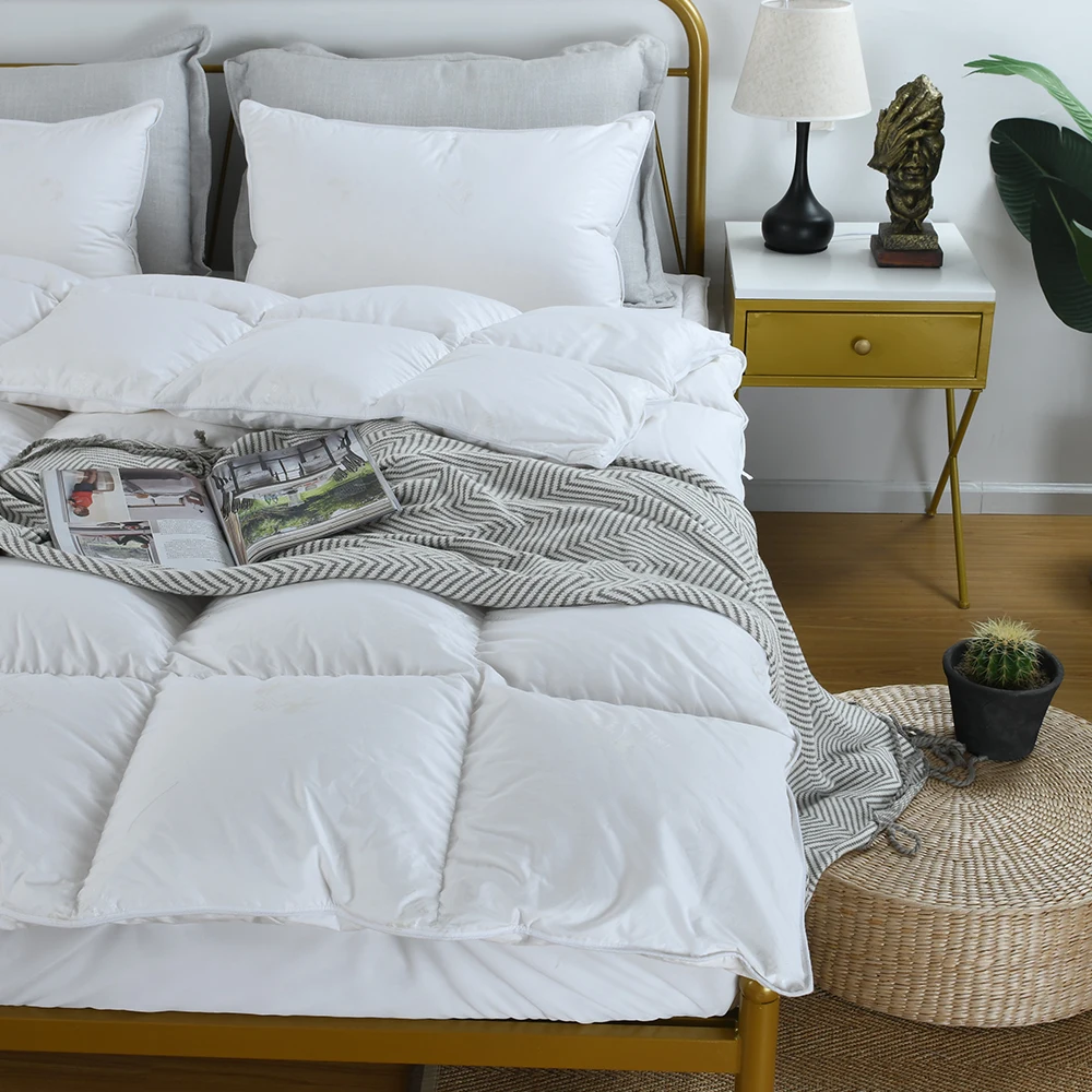 100% Duvet Autumn Winter 95 White Goose Down Quilt Five-star Hotel Warm Double Bed Single Down Quilt Core Size