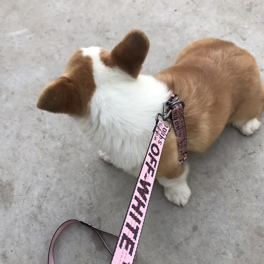 SummeNew pet tide бренд OW Тяговая веревка нагрудный ошейник цепь для собак Французский бульдог плюшевый медведь маленькие и средние аксессуары для собак