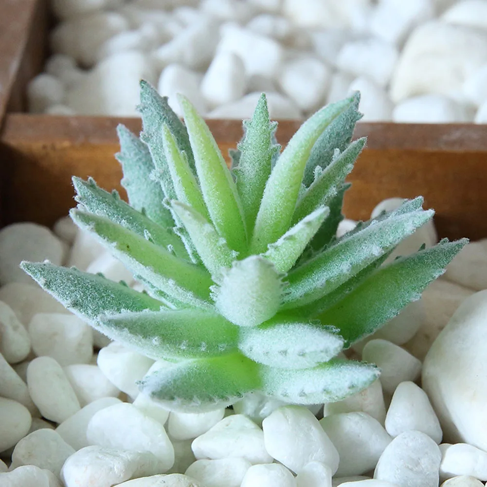 Decorative Flowers & Wreaths Simulation Succulents Flocking Small Fake