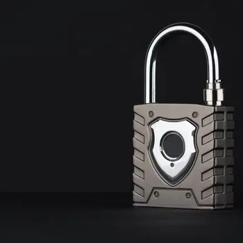 

Intelligent Fingerprint Padlock Large Outdoor Waterproof Lock Head Warehouse Door Home Security Password