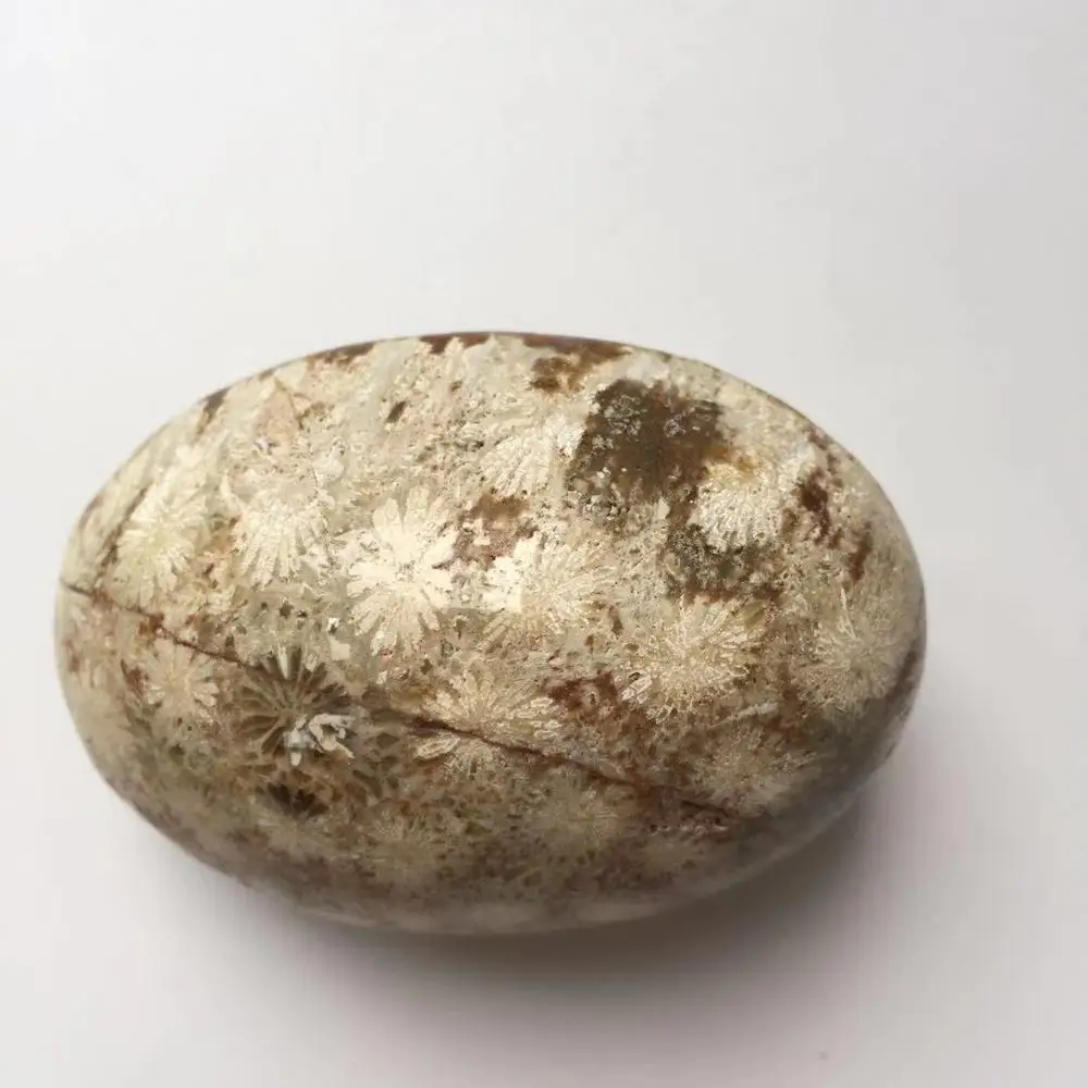 High Quality Natural Coraljade Hand Carved Crystal Palm Stones For Present Or Collection ZY