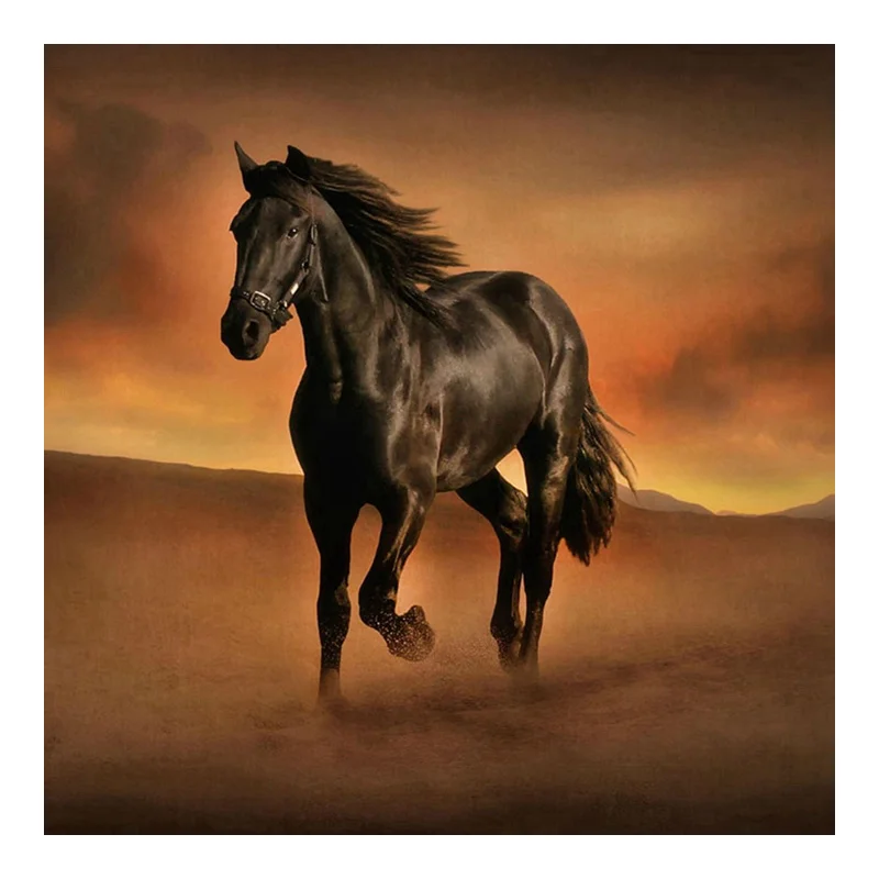 Алмазная живопись 5D сделай сам вышивка крестиком Черная лошадь для бега полное