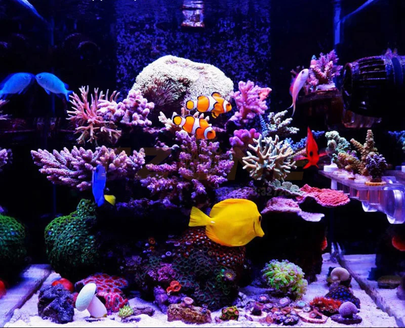 Chihiros аквариум морской Светодиодный светильник ing светильник аквариум морской риф коралловый синий белый и яркость цвет регулируемый