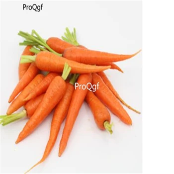 

Ngryise 5000Pcs A Set mini finger shape carrot