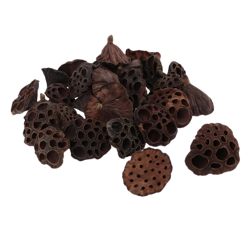 30x Natural Dried Lotus Pod Flowers /Fruit For Xmas Floral Decor Crafts DIY