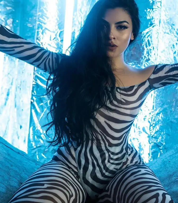 Zebra Большие узкие комбинезоны с длинными рукавами с леопардовым/тигровым/узорчатым/зебровым/долларовым узором, осенняя мода - Цвет: Zebra
