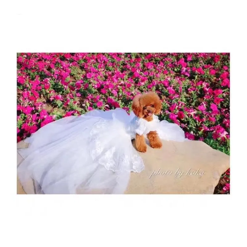 

High-end Pet Tail wedding Dress with Veil For Large Dogs and Cats Can Be Customized Teddy Bichon VIP Corgi Clothes