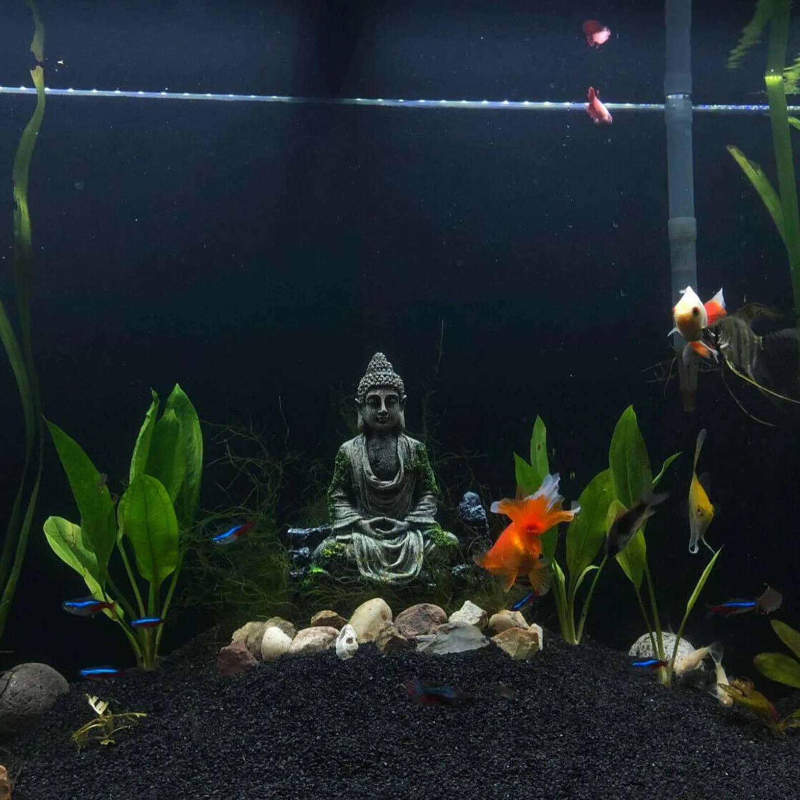 lanthaan silhouet Weigeren SLOCME Aquarium Buddha Statue Sculpture Decorations - Fish Tank Buddha  Statue - AliExpress