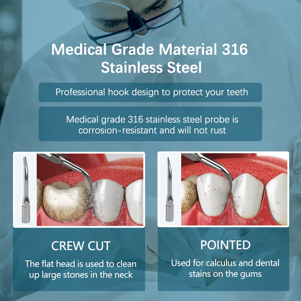 ت فوق الصوتية مبيضة أسنان الأسنان حساب التفاضل وال...